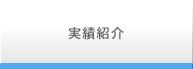 実績紹介