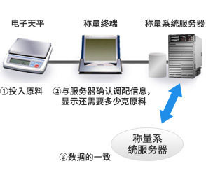 称量系统