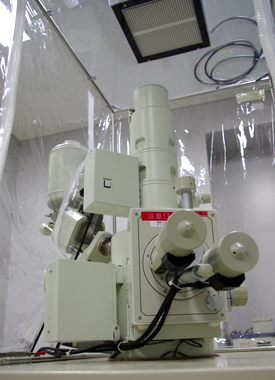 SEM(走査電子顕微鏡)